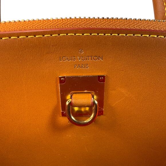Louis Vuitton Catogram City Steamer bag MM cat tote Grace Coddington Rare LV - Picture 9 of 16